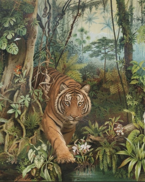 Honpo YL | Jungle Stroll