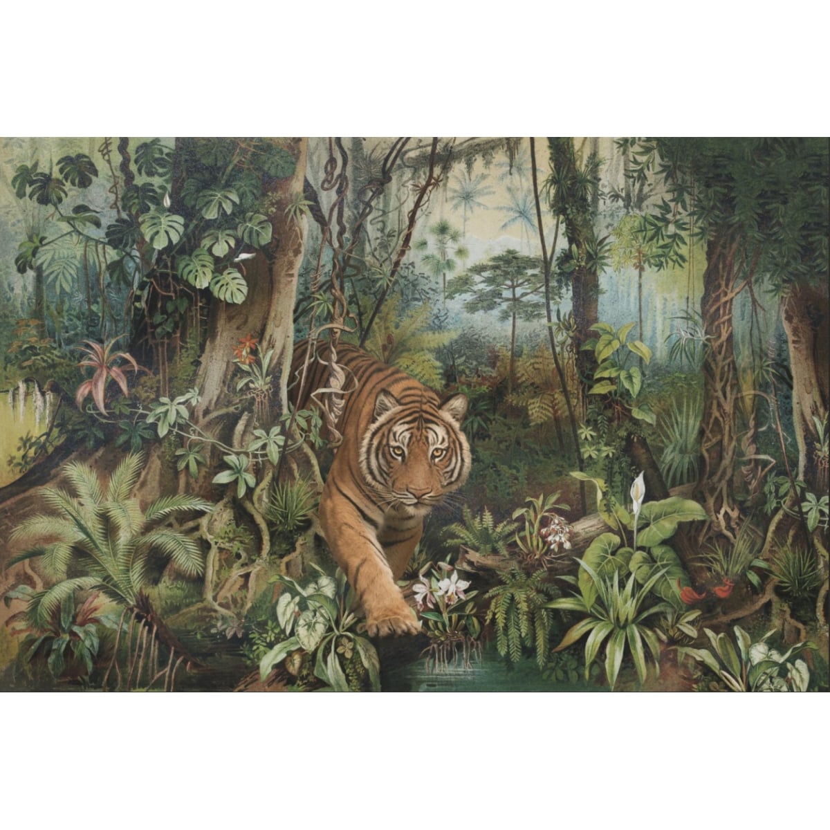 Honpo YL | Jungle Stroll Honpo YL | Jungle Stroll