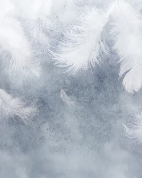 Honpo YL | Featherdrift