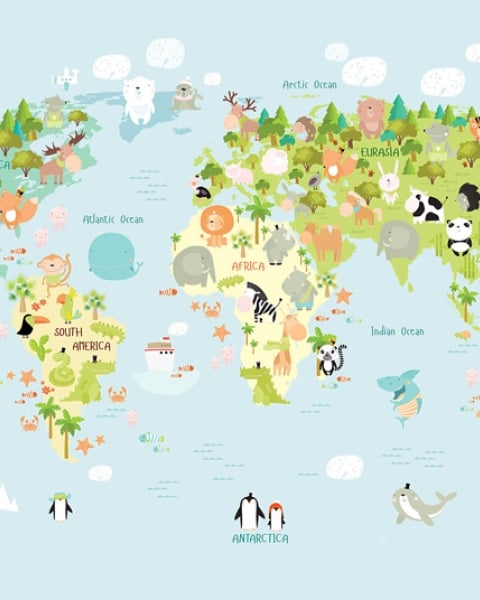 Honpo YL | First Expedition