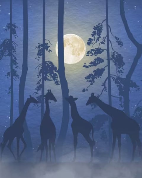 Honpo YL | Forest Watch