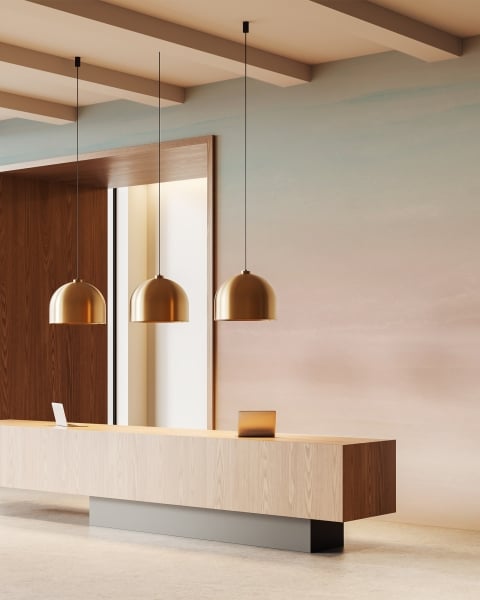 Honpo YL | Gradient Color