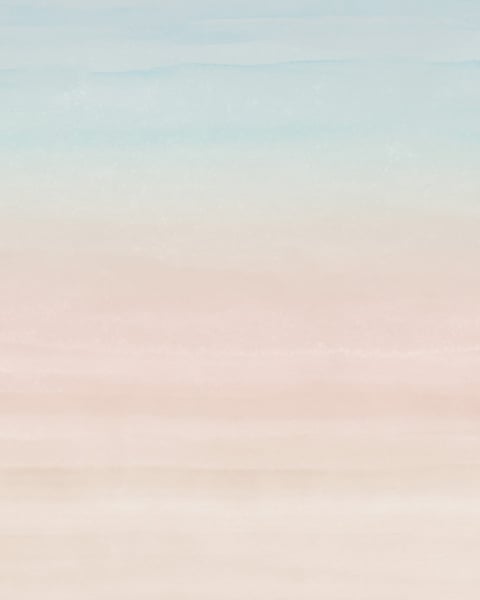 Honpo YL | Gradient Color