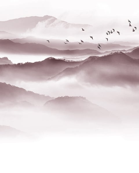 Honpo YL | Inkwash Mountain