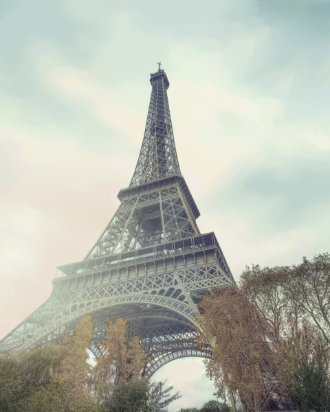 Honpo YL | La Tour Eiffel