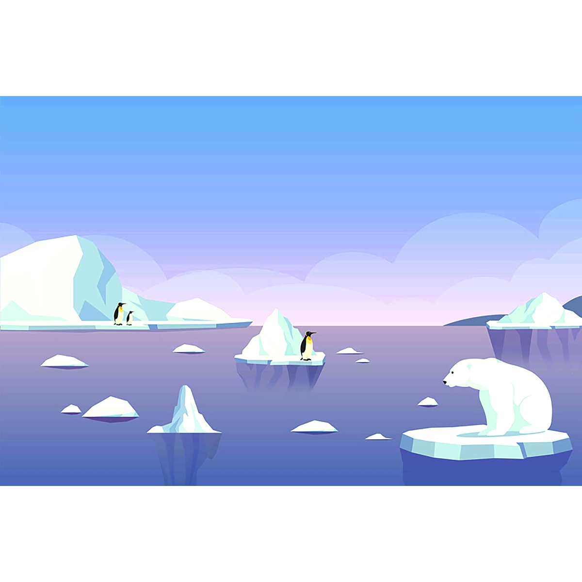 Honpo YL | Little Iceberg Honpo YL | Little Iceberg