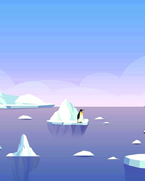 Honpo YL | Little Iceberg