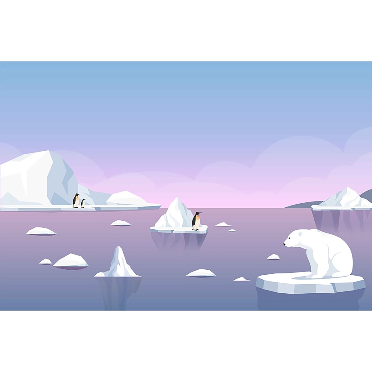 Honpo YL | Little Iceberg Honpo YL | Little Iceberg