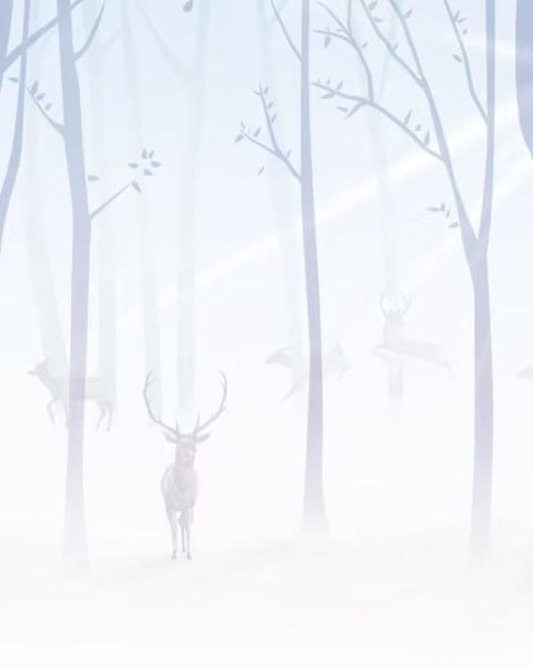 Honpo YL | Misty Glade