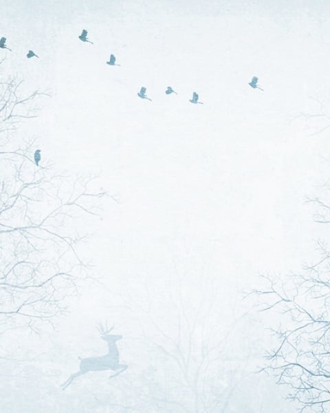 Honpo YL | Misty Trail