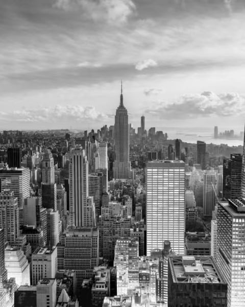 Honpo YL | Skyline Vista