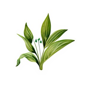 Featured Link