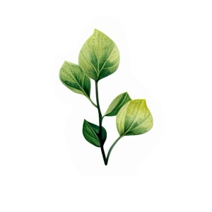 Featured Link