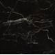 INFEEL / Rare Mineral Stone / NI953