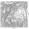 KEK | Engraved Landscapes | Design VII