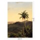 KEK | Golden Age Landscapes | Design II