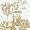 KEK | Engraved Flowers | Design I 