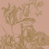 KEK | Engraved Flowers | Design I 