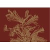 KEK | Engraved flowers | Design V
