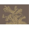 KEK | Engraved flowers | Design V