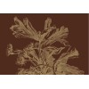 KEK | Engraved flowers | Design V