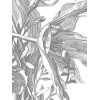 KEK | Engraved Flowers | Design VII