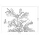 KEK | Engraved Flowers | Design VII