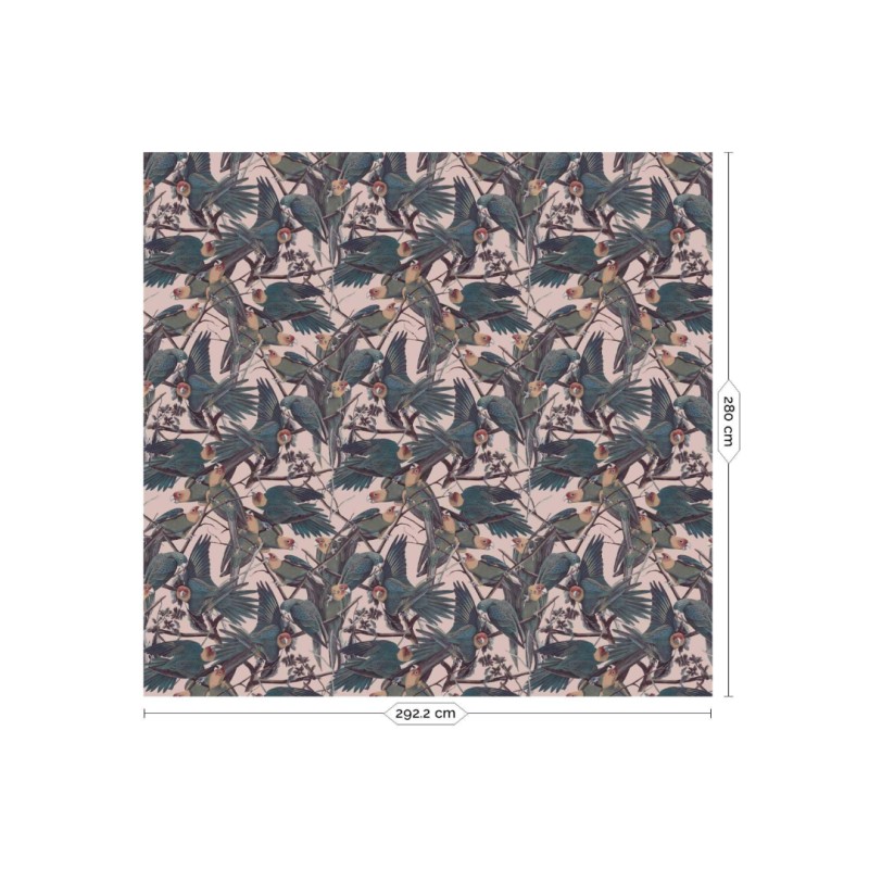 KEK | Parrots