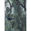 KEK | Tropical Landscapes | Design I