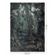 KEK | Tropical Landscapes | Design I