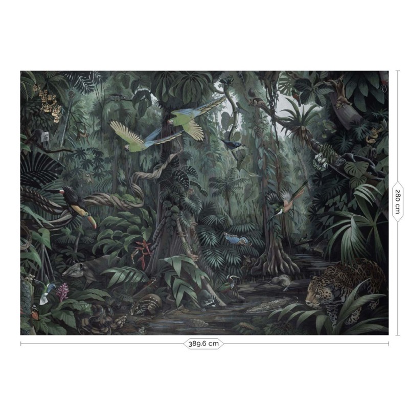 KEK | Tropical Landscapes | Design I