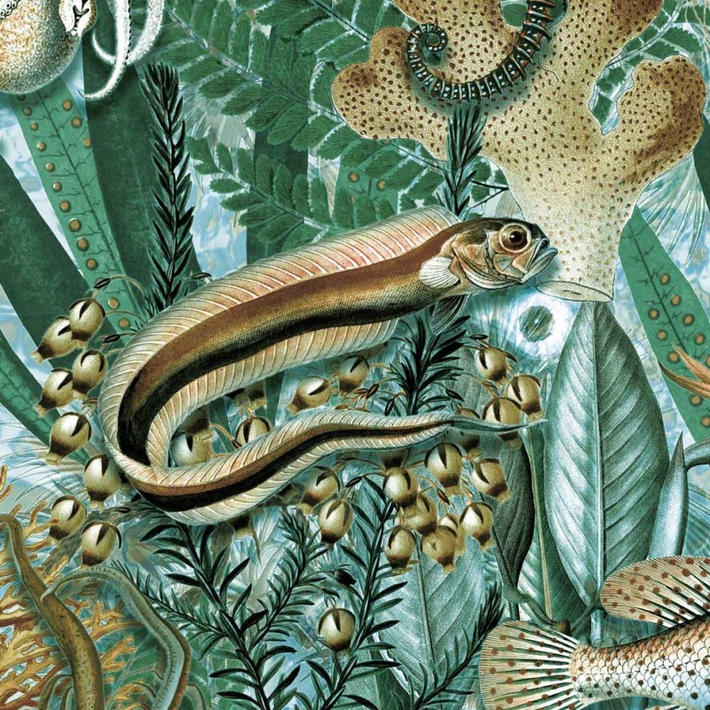 KEK | Underwater Jungle | Design II
