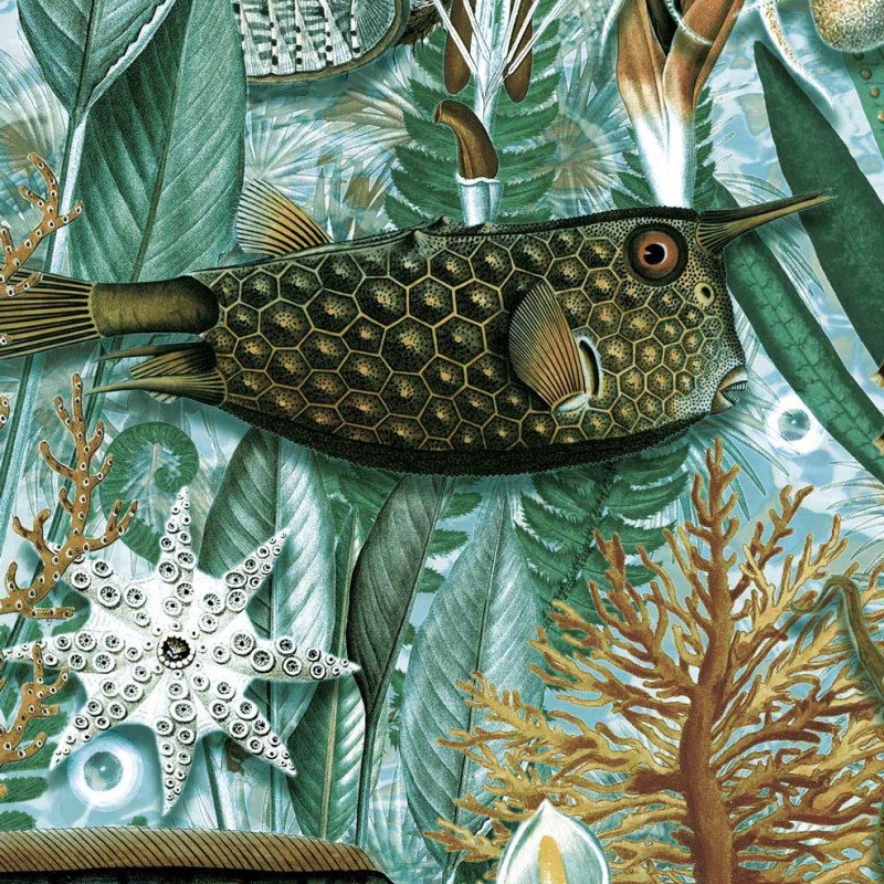 KEK | Underwater Jungle | Design II