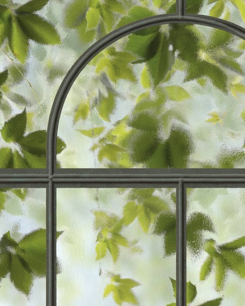 Koziel | Black loft windows arch and virginia creeper | ARCH-LPV020
