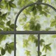 Koziel | Black loft windows arch and virginia creeper | ARCH-LPV020