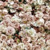 Koziel | Wall of mystical roses | ARCH-LPV052