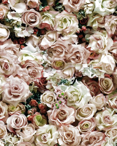 Koziel | Wall of mystical roses | ARCH-LPV052