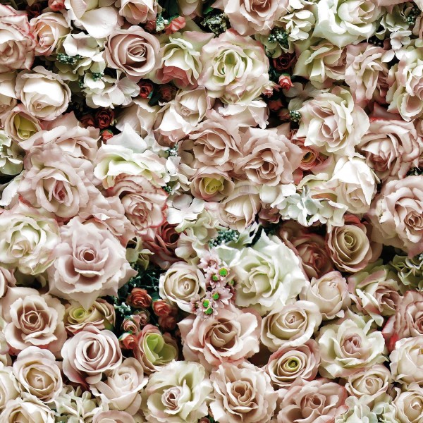 Koziel | Wall of mystical roses | ARCH-LPV052