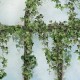 Koziel | Black royal greenhouse covered with ivy | ARCH-LPV057CL