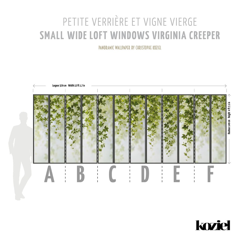 KOZIEL | Panoramic wallpaper small loft windows and virginia creeper | LPV020-X