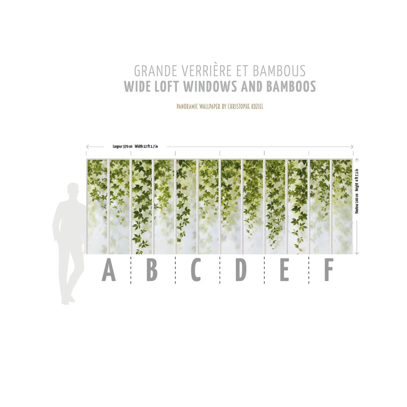 KOZIEL | Panoramic wallpaper white small loft windows and virginia creeper | LPV022-X 