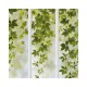 KOZIEL | Panoramic Wallpaper White Wide Loft Windows and Virginia Creeper| LPV022XL-X