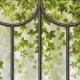 KOZIEL | Panoramic wallpaper romantic greenhouse windows | LPV023XL-X