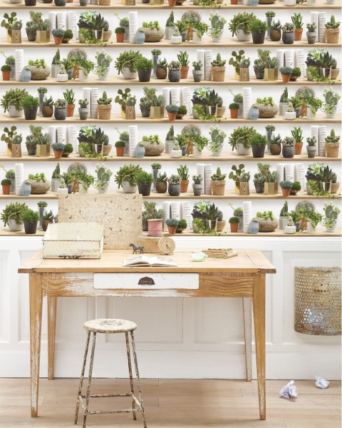 KOZIEL | Stylized Cactus on Shelves | 8888-402