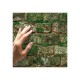 KOZIEL | Old Mossy Bricks | 8888-44
