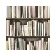 KOZIEL | Vintage Bookshelves | 8888-560