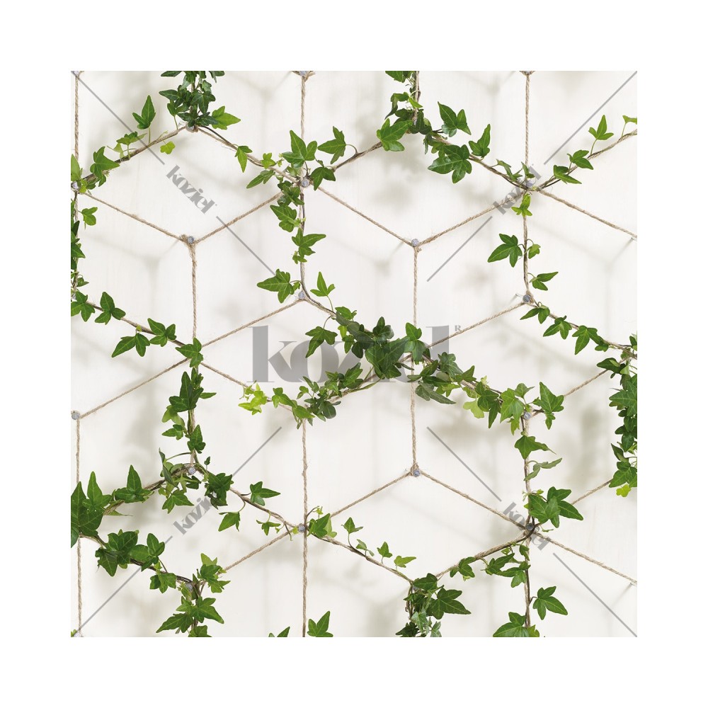 KOZIEL | Ivy on Ropes Wallpaper | 8888-408ECO