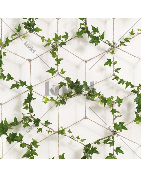 KOZIEL | Ivy on Ropes Wallpaper | 8888-408ECO