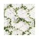 KOZIEL | Ivy on Ropes Wallpaper | 8888-408ECO