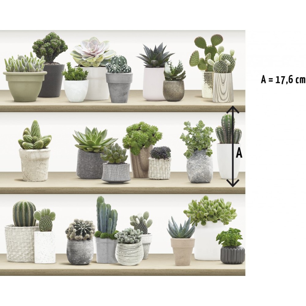 KOZIEL | Stylized Cactus on Shelves #2 | 8888-413